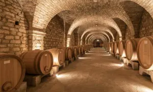 Allées voûtées d'une cave à vin à Beaune, remplies de rangées de fûts en bois. Une visite de cave Beaune inoubliable.