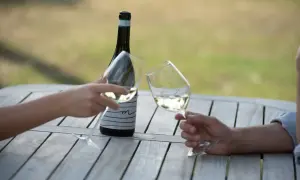 Brindisi con calici di vini delle Marche su un tavolo di legno all'aperto.