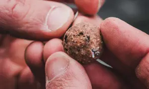 Dłoń trzyma kulkę zanętową z przyczepionymi gumkami do pelletu.