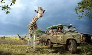 En familj på safari i Danmark möter en nyfiken giraff. En noshörning syns i bakgrunden.