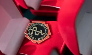 Odznaka "Za zasługi dla ochrony przeciwpożarowej" w otwartym, czerwonym pudełku.