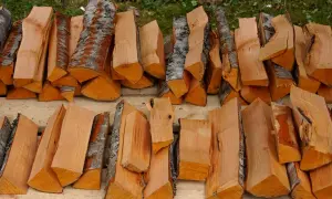 Leña apilada, lista para la chimenea. ¿Cuál es la mejor leña para chimenea? Esta madera de tonos cálidos promete un fuego acogedor.