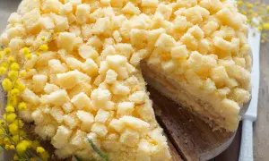 Una deliziosa torta mimosa, ricoperta di soffici briciole di pan di Spagna, con un rametto di mimosa a decorare.