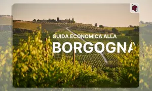 Vigneti rigogliosi sotto il sole, con un casolare in collina. Guida economica alla Borgogna, per scoprire i suoi vini.