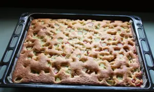 Nybakad rabarberkaka i långpanna, med gyllene yta och saftiga rabarberbitar som tittar fram. Perfekt för fika!