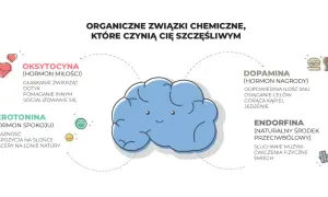 Dopamina, hormon nagrody, uwalnia się przy osiąganiu celów, jedzeniu i innych przyjemnościach. Schemat pokazuje też oksytocynę, serotoninę i endorfiny.