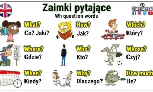 Polskie ceny po angielsku? Opanuj je w 3 krokach!