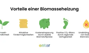Vorteile einer Biomasseheizung: Umweltfreundlich, förderfähig, kostensparend, CO2-positiv, unabhängig von fossilen Brennstoffen.