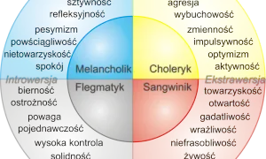 Jakie są 4 typy osobowości i jak wpływają na nasze życie?