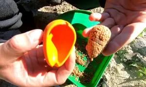 Jak zakładać pellet na haczyk - uniknij najczęstszych błędów w wędkowaniu