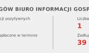 Jak spłacić dług w KRD i uniknąć dodatkowych problemów finansowych