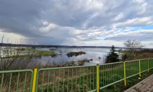 Rozlewiska Narwi koło Łomży, malownicze widoki i dzika przyroda. To jedne z wielu atrakcji regionu.