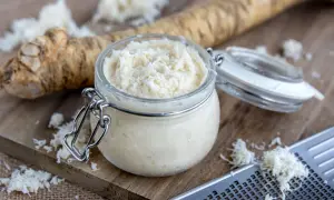 Frisch geriebener Meerrettich im Glas, bereit zur Haltbarmachung. Ein ganzer Meerrettich liegt daneben, daneben eine Reibe mit geriebenem Meerrettich.