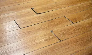 Suelo de madera con tablas levantadas, revelando un oscuro moho negro debajo.