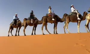 Kameltur i öknen nära Fez stad. Fyra personer rider på kameler över sanddynerna under en klarblå himmel.