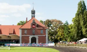 Samiec w stadninie: Poznaj znaczenie ogiera i innych terminów