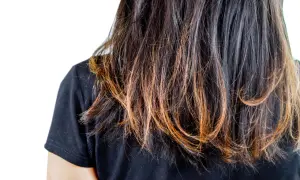 Capelli scuri con riflessi ramati, visibilmente secchi e con **capelli spezzati** alle punte, che necessitano di cure.