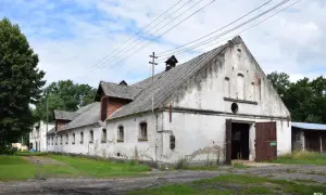 Stadnina Koni Golejewko: Odkryj legendę i pełną ofertę