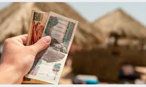 Ręka trzyma banknoty 100 i 200 funtów egipskich. Planujesz podróż do Egiptu i zastanawiasz się, jakie dolary zabrać?
