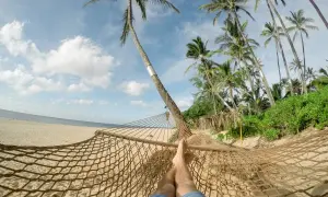 Relaks w hamaku na plaży z palmami. Idealne miejsce na wakacje w listopadzie, gdzie najcieplej.