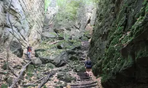 Randonneurs dans un canyon rocheux, un sentier escarpé bordé de mousse et de feuilles mortes. Un paysage qui rappelle la beauté sauvage d'une petite Suisse luxembourgeoise.