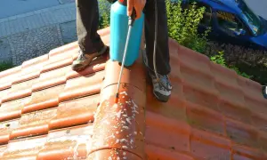 Person utför mossborttagning tak med en sprayflaska. Takpannorna är orange och det syns skum på dem.
