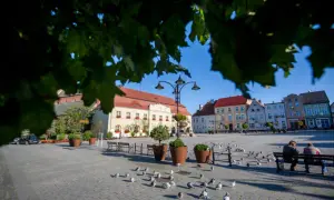 Najlepsze atrakcje w Darłowie, które musisz zobaczyć podczas wizyty