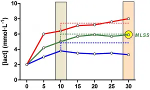 Grafico mostra la frequenza cardiaca durante la corsa a diverse potenze (260, 275, 290 W), con indicazione del MLSS.