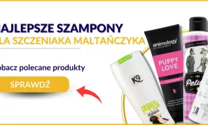 Szampon dla szczeniaka: Sekrety bezpiecznej pielęgnacji malucha