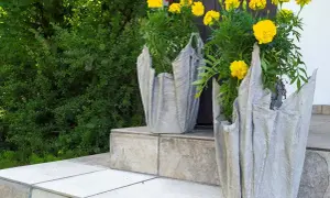 Doniczki DIY: Beton czy cement? Sekrety trwałych i pięknych form