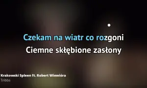 Tekst piosenki czekam na wiatr co rozgoni - Maanam i jego sens