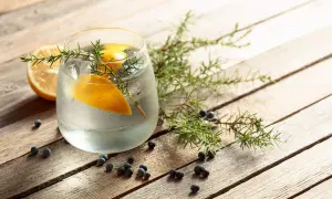 Erfrischendes Getränk mit Zitrone und Wacholder. Auch in der Schwangerschaft kann man sich mit einem alkoholfreien Tonic Water erfrischen.