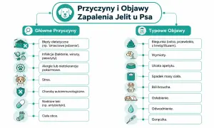 Biegunka u psa, w tym luźny stolec z krwią, to jeden z objawów zapalenia jelit.