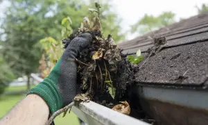 Mano enguantada retirando hojas y tierra de un canalón. Tareas de limpieza de canalones para evitar obstrucciones.