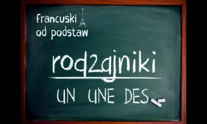 Rodzajniki określone i nieokreślone francuski - kluczowe różnice i zasady