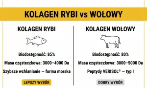 Porównanie kolagenu rybiego i wołowego. Kolagen rybi ma wyższą biodostępność (85%) i szybsze wchłanianie, co czyni go lepszym wyborem.