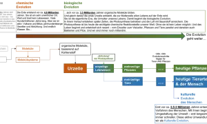 Schema der Evolution: Von Elementarteilchen über Moleküle und Urzellen zur biologischen Evolution mit Pflanzen, Tieren und dem Menschen.