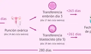 Diagrama que ilustra el cálculo de la fecha probable de parto (FPP) usando la regla de Naegele, partiendo de la FUR teórica y los días del ciclo.