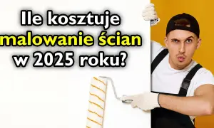 Ile biorą za metr malowania? Sprawdź, jakie są realne koszty