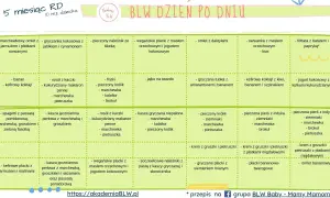 Tabela z propozycjami jedzenia dla niemowlaka metodą BLW, podzielona na dni. Znajdziesz tu pomysły na zdrowe posiłki.
