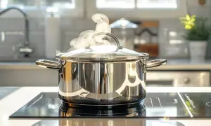 Une belle casserole en inox chauffe sur une plaque à induction, dégageant une vapeur appétissante. Quelle casserole pour induction choisir pour une cuisson parfaite ?