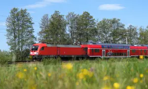 Roter Doppelstockzug mit Fahrradsymbol fährt auf der Strecke Berlin-Stettin durch blühende Wiesen und Bäume.
