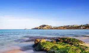 Traumhafte Bucht mit Segelboot und felsiger Küste. Tolle Mallorca Tipps für Ihren Urlaub.