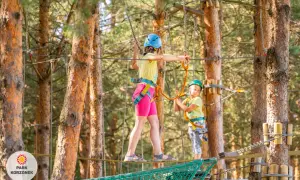 Idealny park linowy dla dzieci? Przewodnik po bezpieczeństwie i cenach