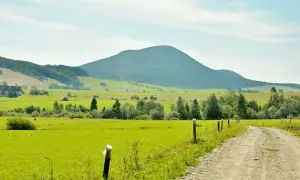 Zielone pola i lasy Beskidu Niskiego, z widocznym w oddali najwyższym szczytem. Droga gruntowa prowadzi przez malowniczy krajobraz.