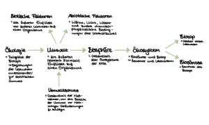 Schema zeigt ökologische Begriffe. Abiotische Faktoren wie Wasser beeinflussen die Umwelt.