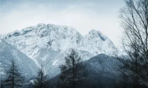 Śnieżne szczyty gór zimą, idealne na pierwsze górskie wędrówki dla początkujących. Drzewa w oddali i na pierwszym planie.