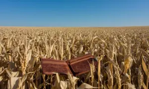 Skórzany portfel leży wśród złotego pola pszenicy, symbolizując koszty związane z podatkiem rolnym.
