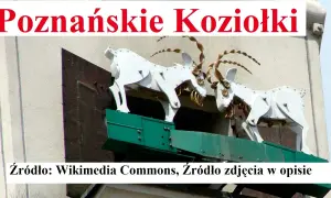 Poznańskie Koziołki: Legenda, Historia i Codzienny Spektakl