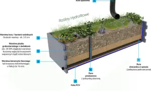 Przekrój ogrodu deszczowego z roślinnością hydrofitową, pokazujący warstwy: kora, piasek, keramzyt, folia PCV, rury spustowa, przelewowa i drenarska.